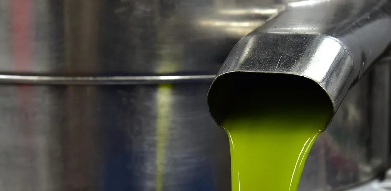 Aceite verde recién molido cayendo de un caño de acero